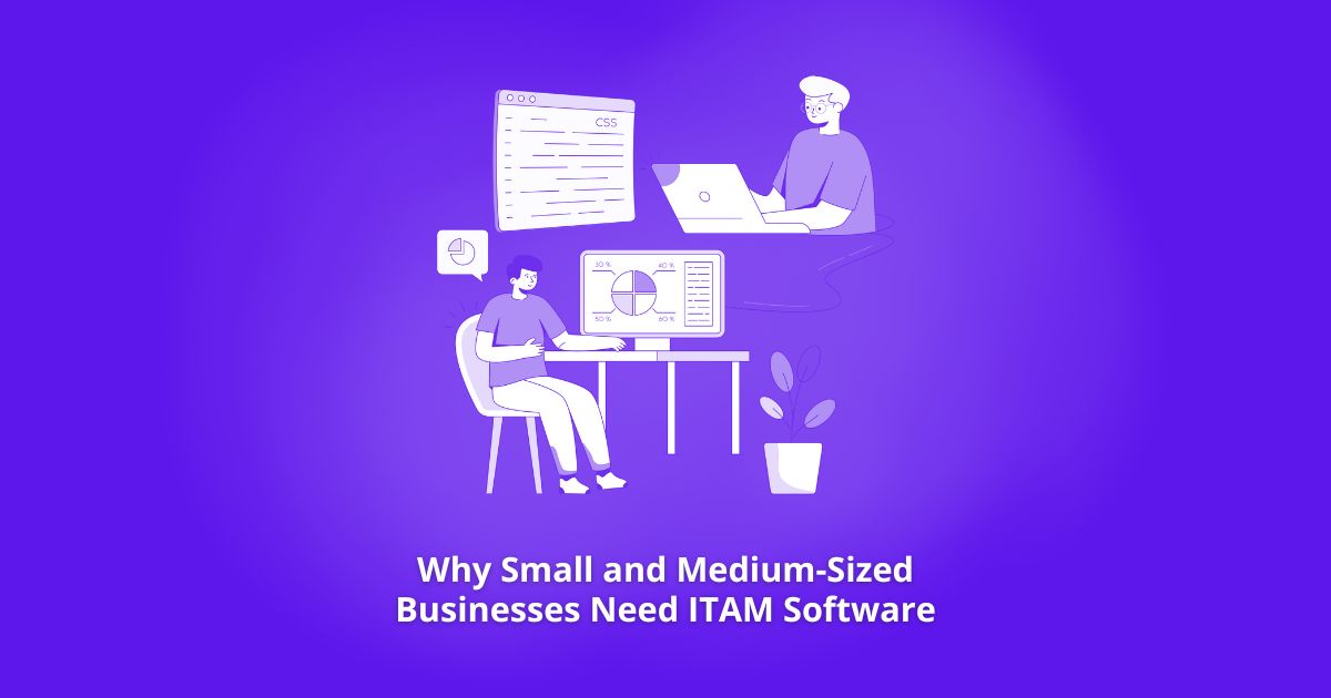 ITAM Software